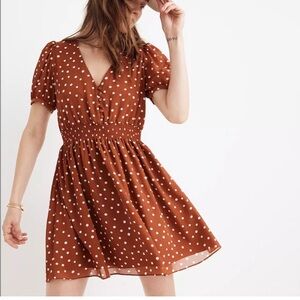 Madewell Cinched Waist Polka Dot Swing Dress